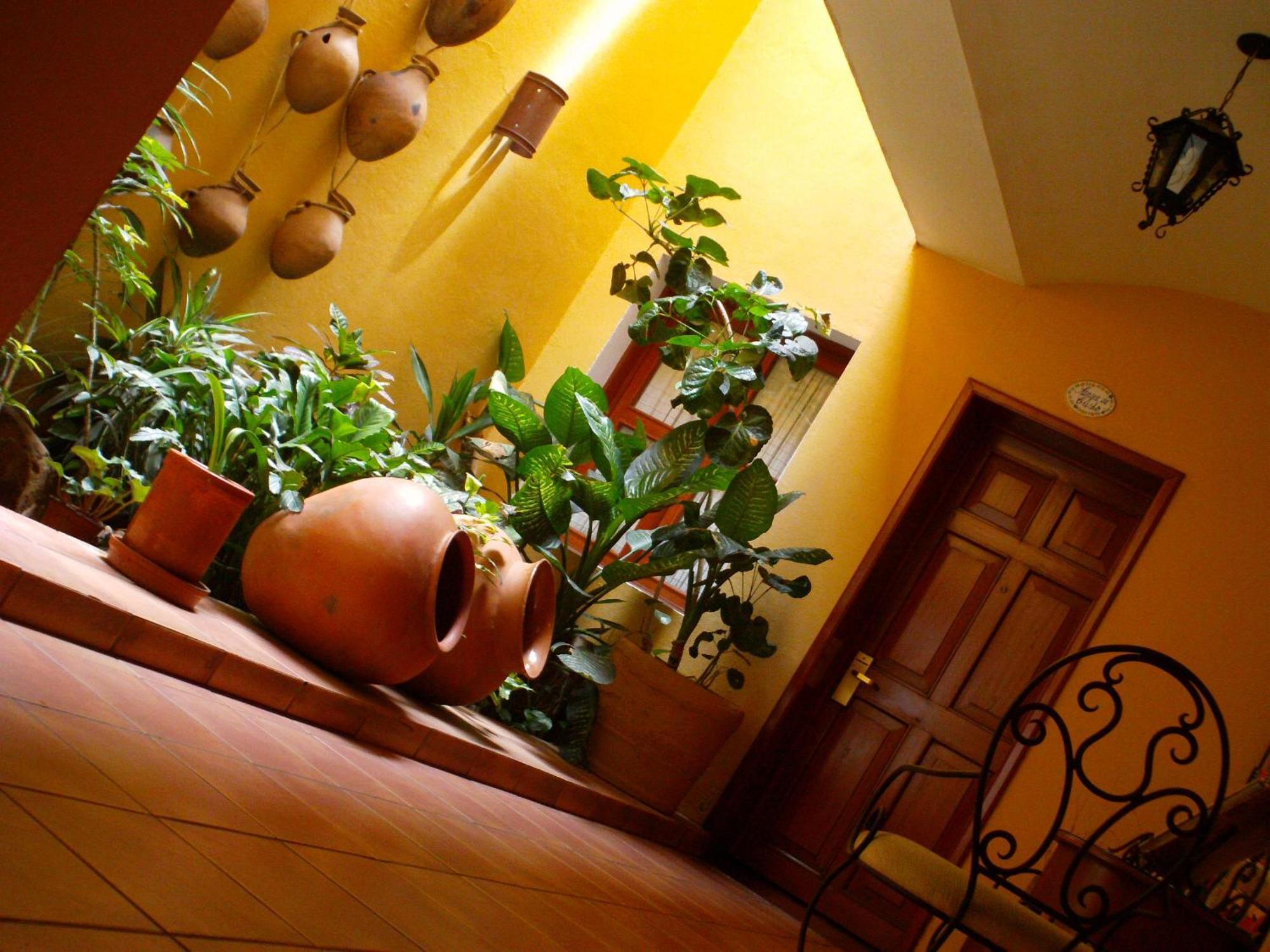 Hotel Casa Divina Oaxaca Ngoại thất bức ảnh