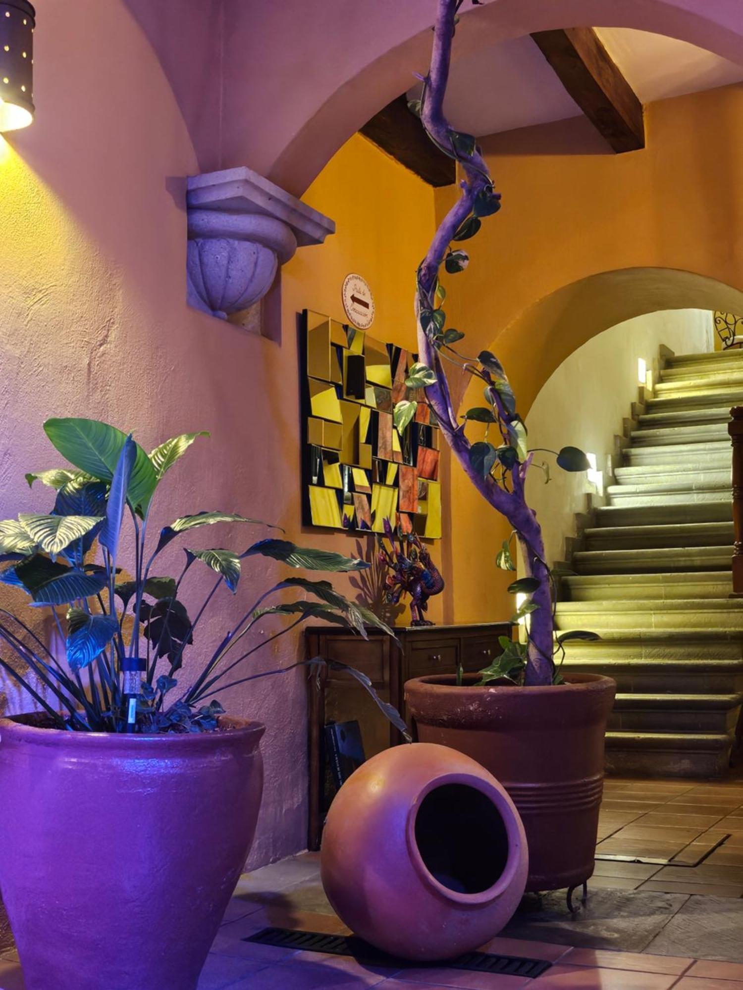 Hotel Casa Divina Oaxaca Ngoại thất bức ảnh